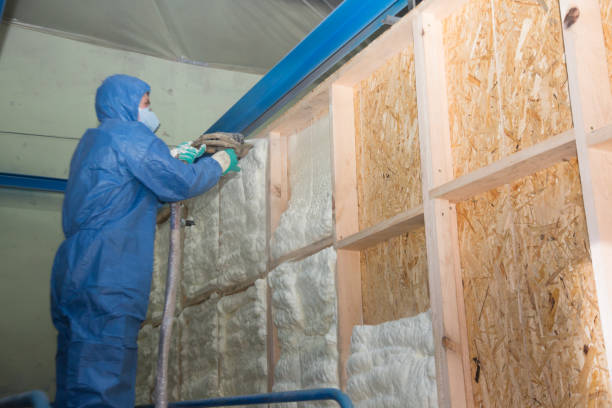 Best Best Insulation Companies  in Brownsville, KY